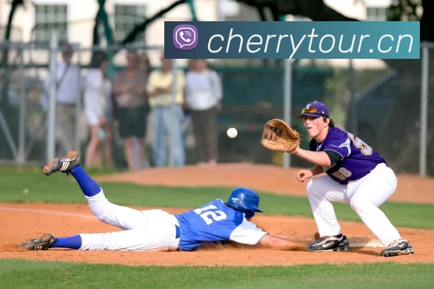 足球世界杯官网中文版平台生态图