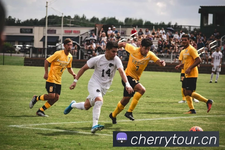 足球世界杯官网中文版全站App